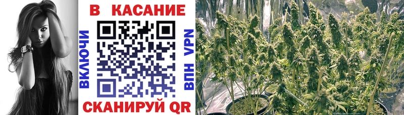 Виды наркоты Кострома Псилоцибиновые грибы  Меф мяу мяу  A PVP  ГАШ  Cocaine  Канабис 