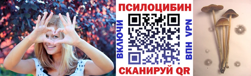 Псилоцибиновые грибы MAGIC MUSHROOMS blacksprut ONION Кострома